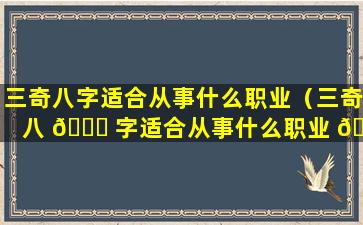 三奇八字适合从事什么职业（三奇八 🐝 字适合从事什么职业 🌻 工作）